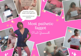 Bimbo PaulGreenwell daily 6