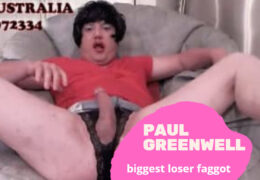 Bimbo PaulGreenwell daily 4